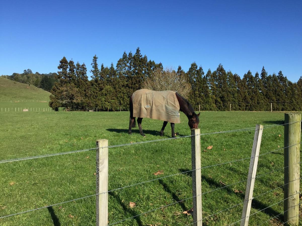 Veld View Bed And Breakfast Tuakau Esterno foto
