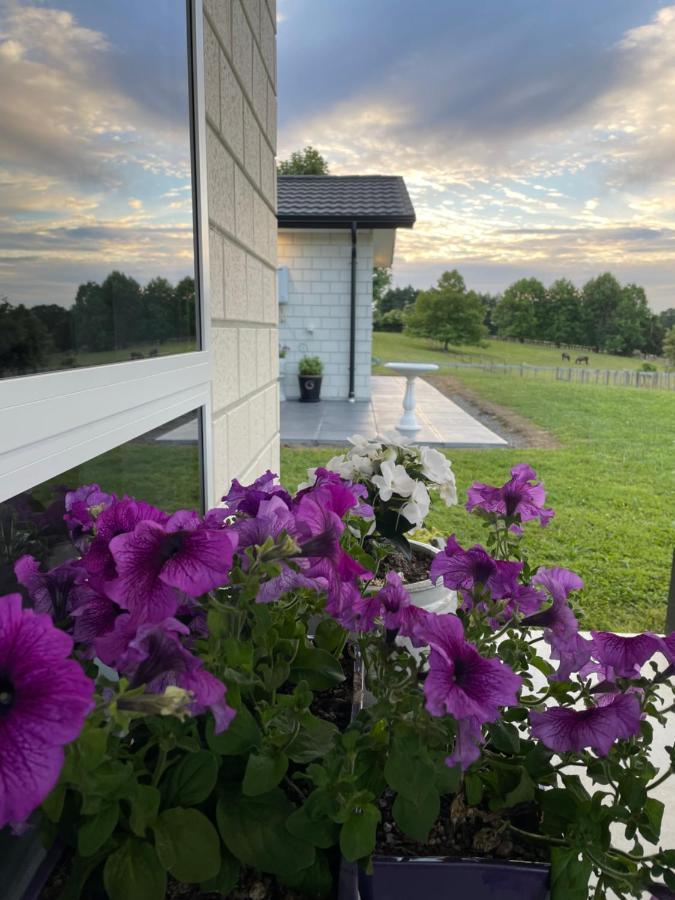 Veld View Bed And Breakfast Tuakau Esterno foto