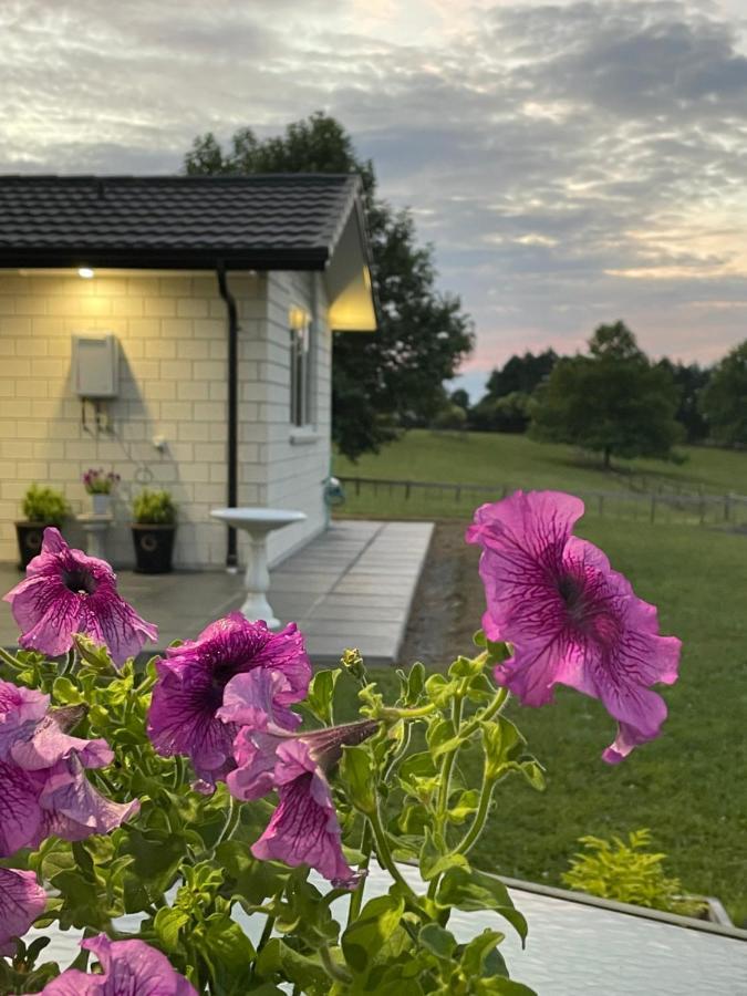 Veld View Bed And Breakfast Tuakau Esterno foto