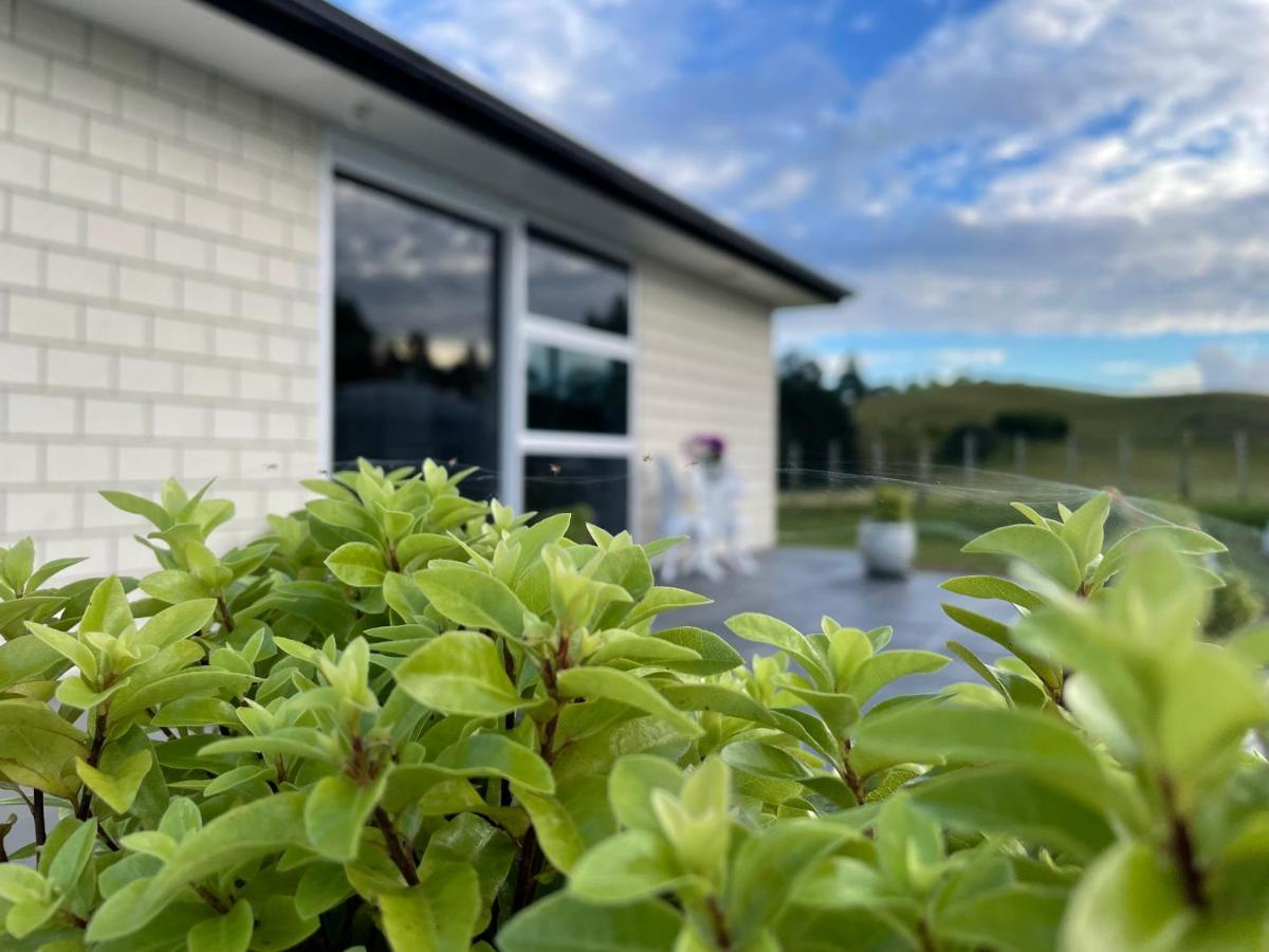Veld View Bed And Breakfast Tuakau Esterno foto